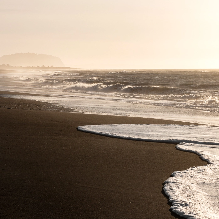 RossBeach-3_thumb.webp