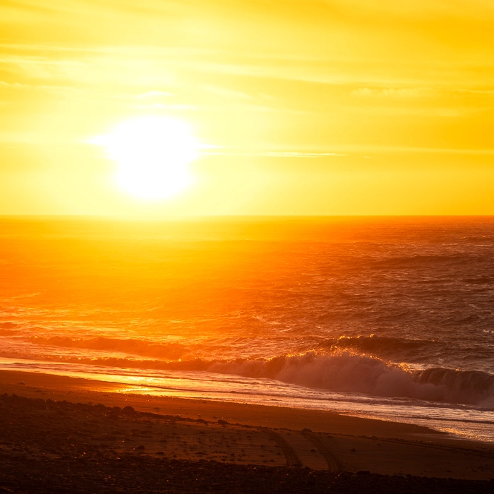 RossBeach-5_thumb.webp